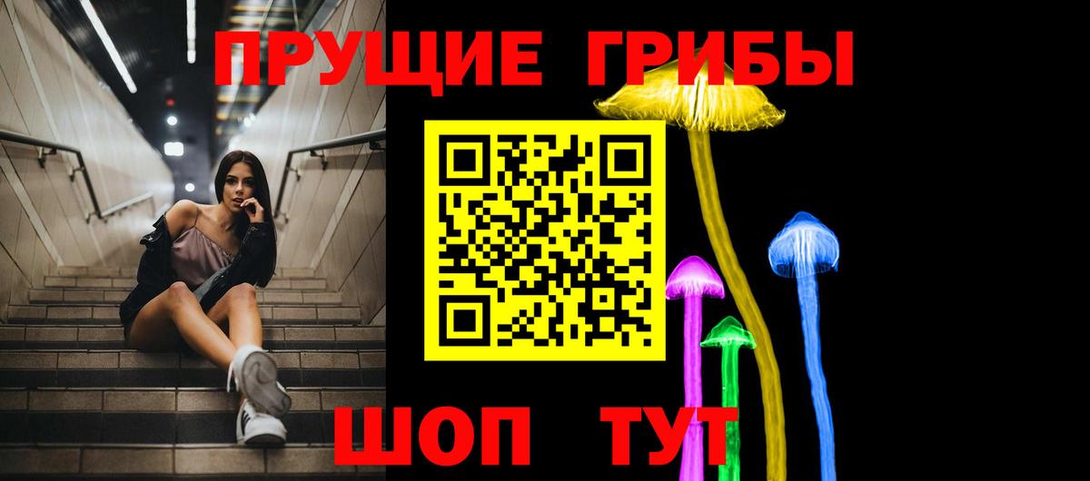 Ливны  купить закладку  Вход с VPN  Псилоцибиновые грибы мухоморы 